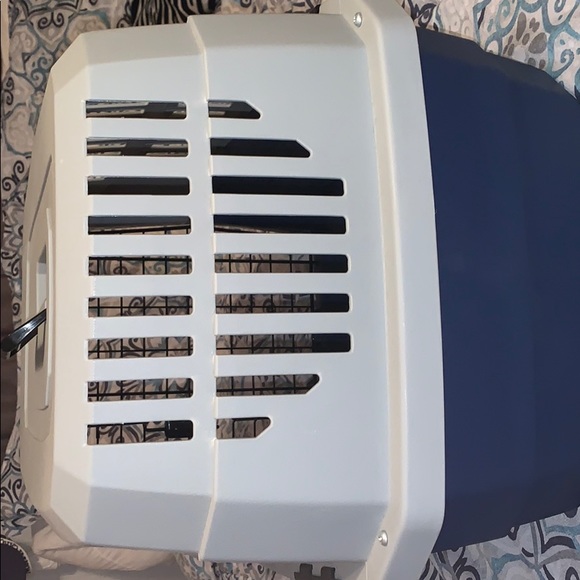 A small/medium dog - Picture 5 of 5